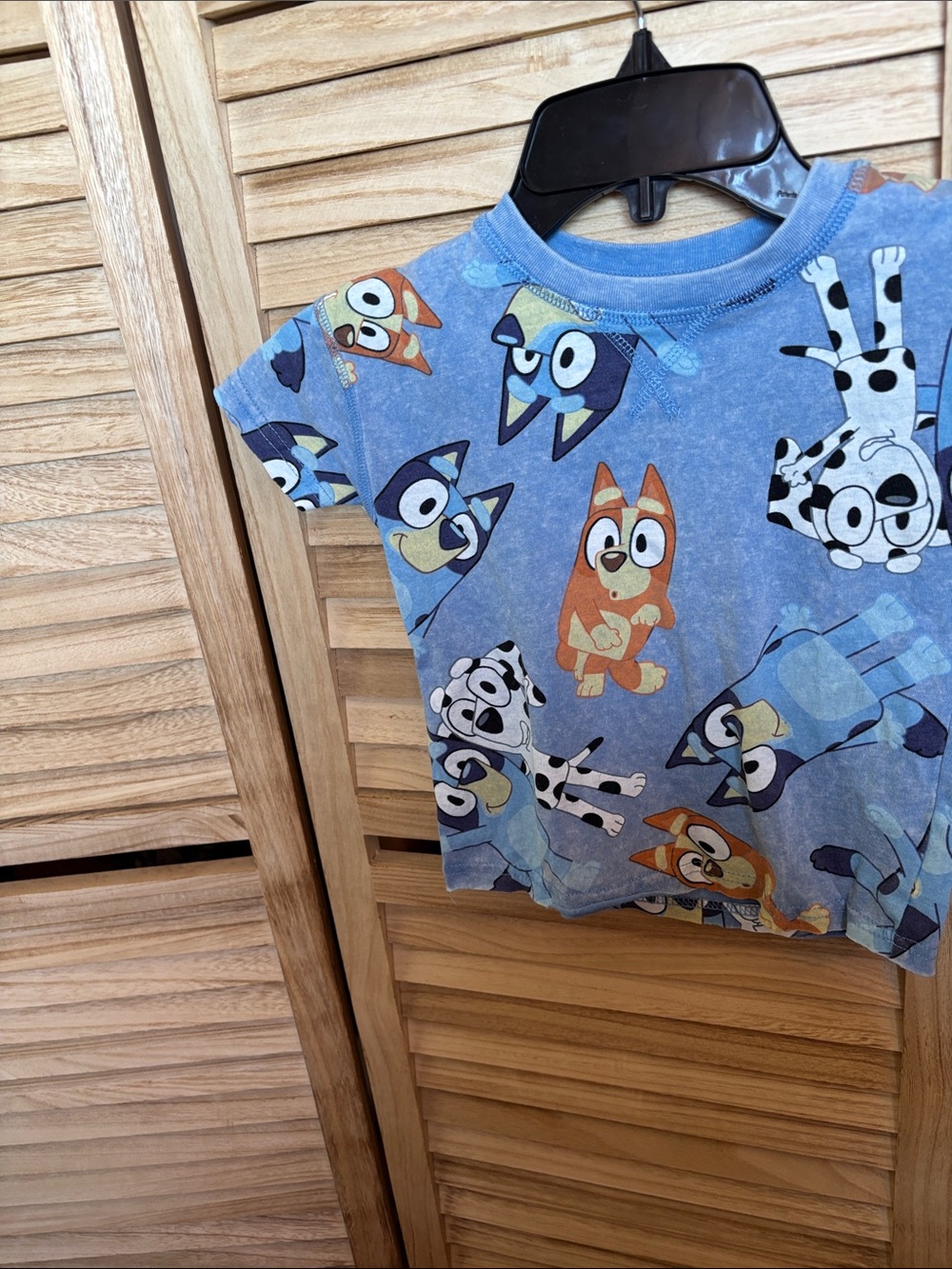 Bluey Short Sleeve Tee with Cartoon Puppy Print 3T